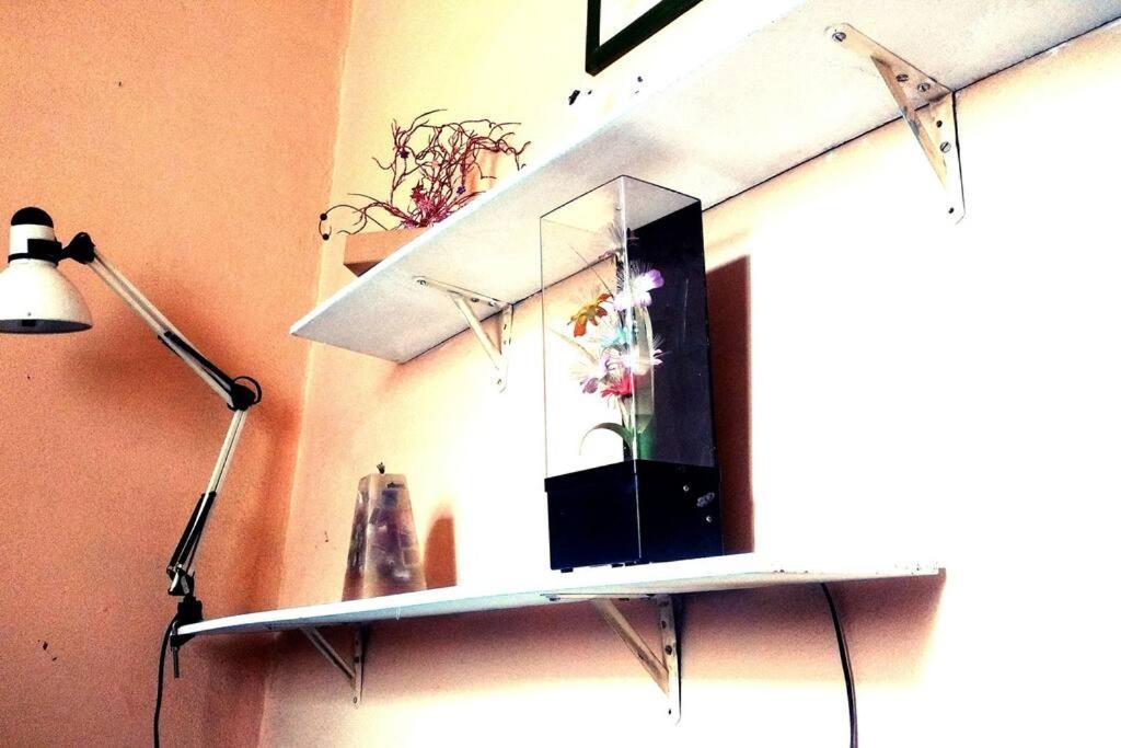 En El Corazon De La Roma Homestay Mexico City